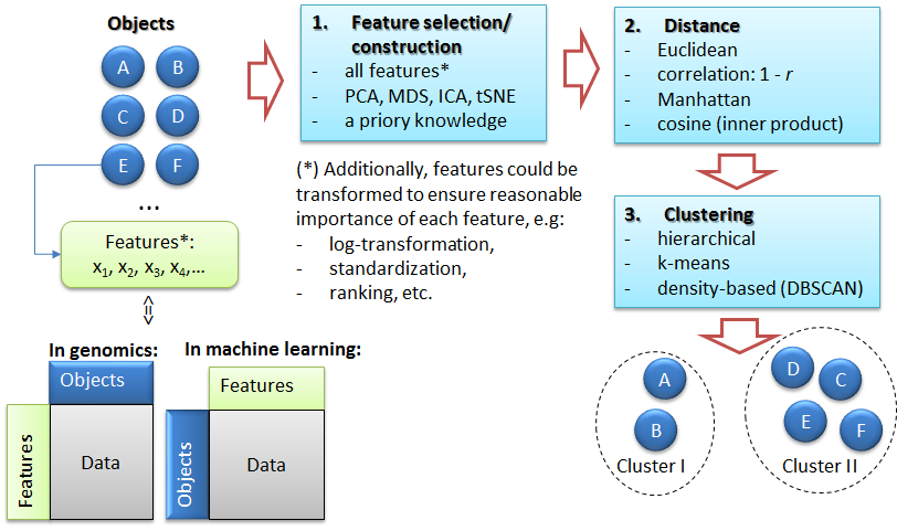 The task of clustering: (1) feature selection, (2) distance estimation, (3) unsupervised grouping - clustering
